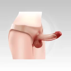 AstroWear Realistic Hollow Silicone Dildo Strap-On Pantie shown from the side, highlighting its wearable hollow design, realistic shape, soft silicone construction, and secure pantie-style fit for adult shoppers in Jaipur, Rajasthan.