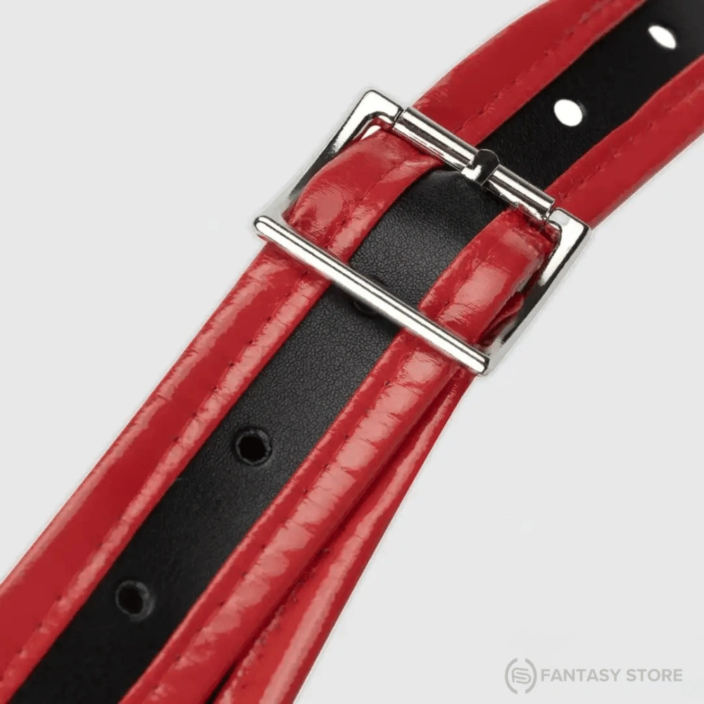 QueenX Triple Attachment Harness Kit close-up showing adjustable buckle, red straps, and black lining.
